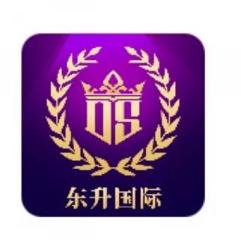 东升国际